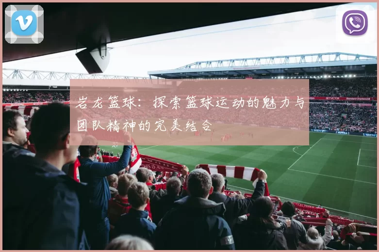 岩龙篮球：探索篮球运动的魅力与团队精神的完美结合